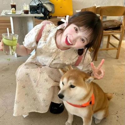 怕羞的黄莺
